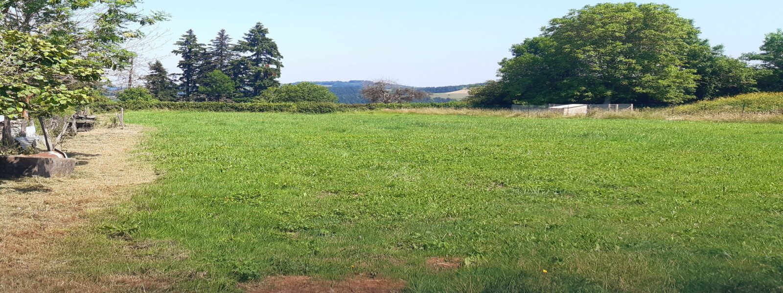 20230614_121338.jpg