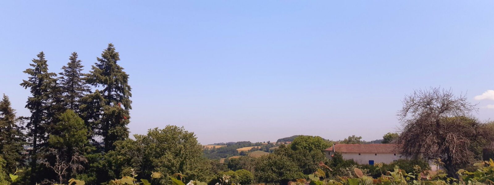 20230614_121636.jpg